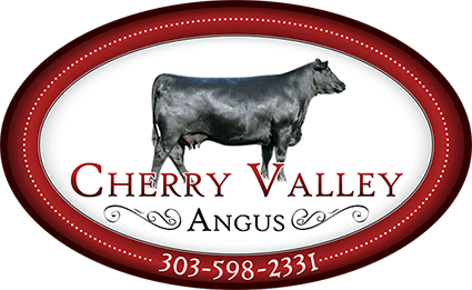 Cherry Valley Angus